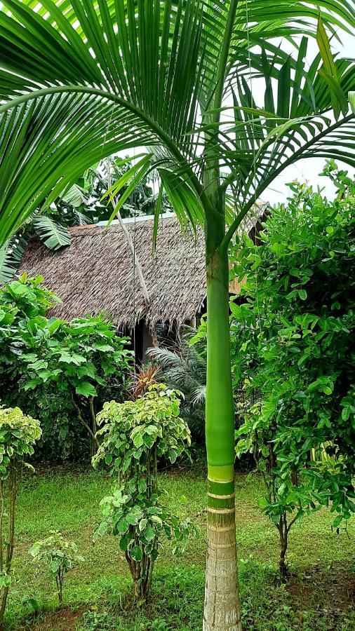 Travis Post Homestay Siquijor Exterior photo